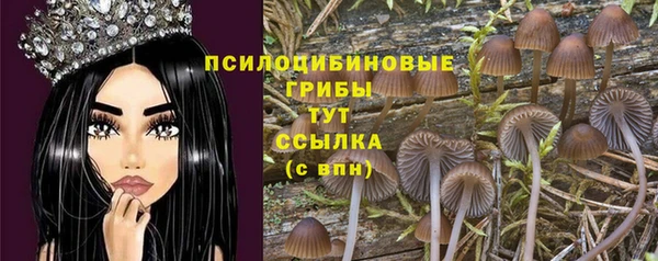 стафф Абаза