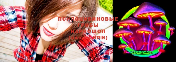 тгк Абинск