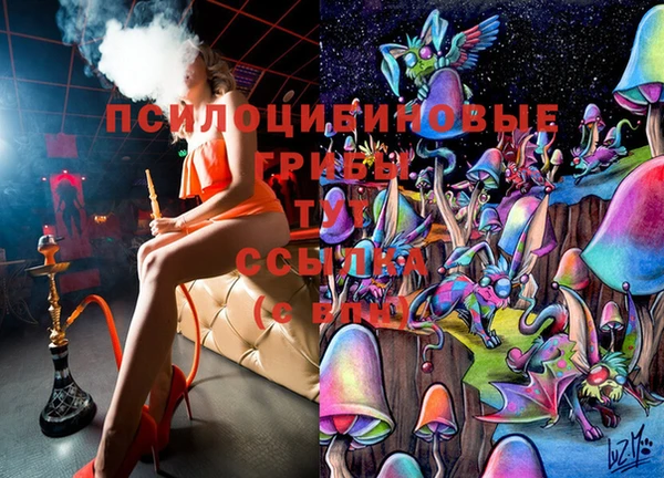 тгк Абинск