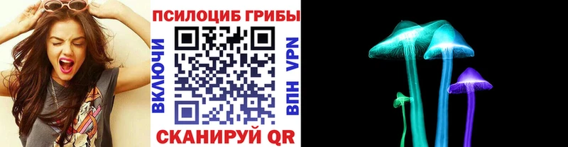 Галлюциногенные грибы Psilocybine cubensis Нягань