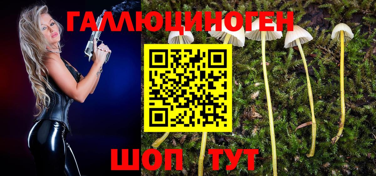 Галлюциногенные грибы мухоморы  купить  цена  Вход с VPN  Нягань  Галлюциногенные грибы Psilocybe 